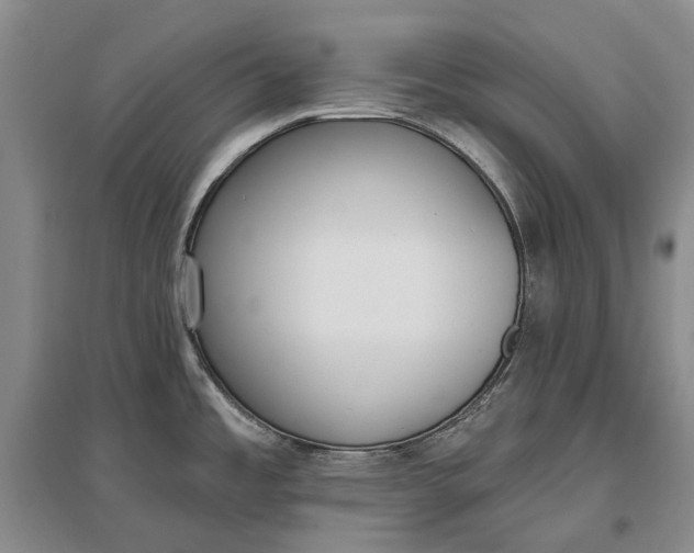 X0000097291485200802291738