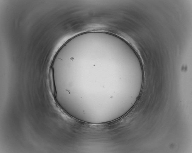 X0000097291488200802291738