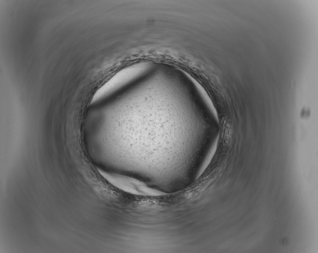 X0000097291489200802291738