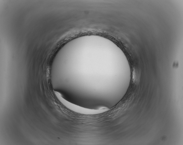 X0000097291492200802291738
