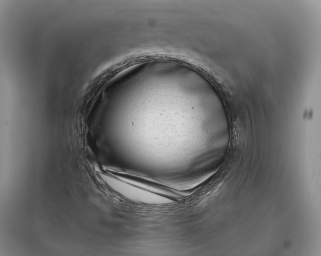 X0000097291494200802291738