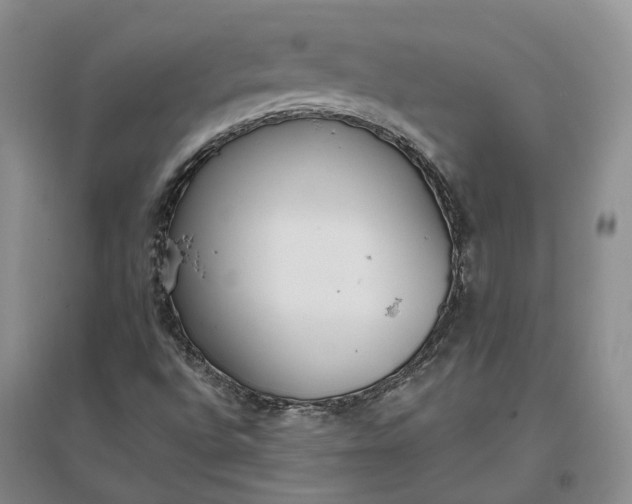 X0000097291496200802291738