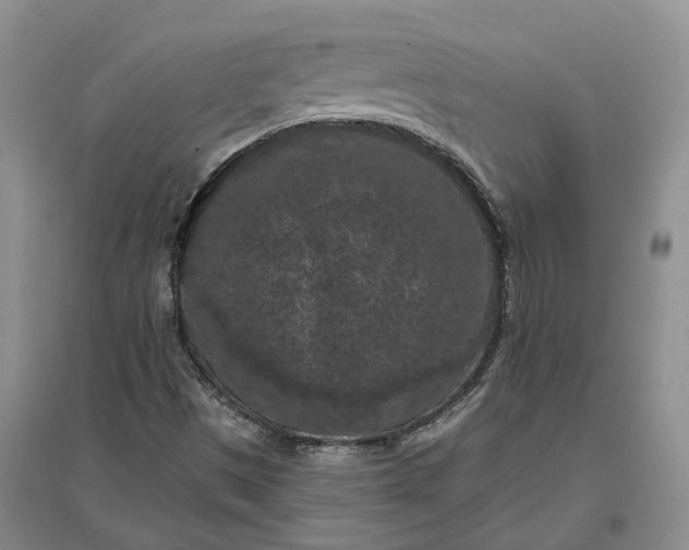 X0000097291497200802291738