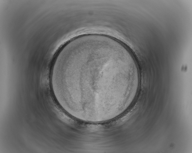 X0000097291498200802291738
