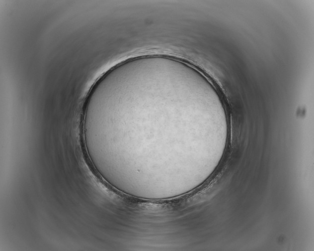 X0000097291500200802291738