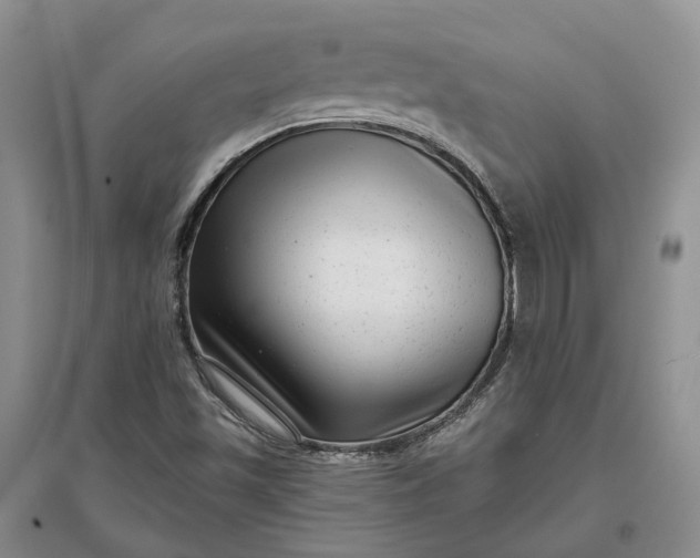 X0000097291501200802291738