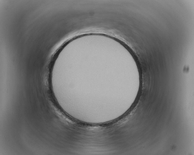 X0000097291502200802291738