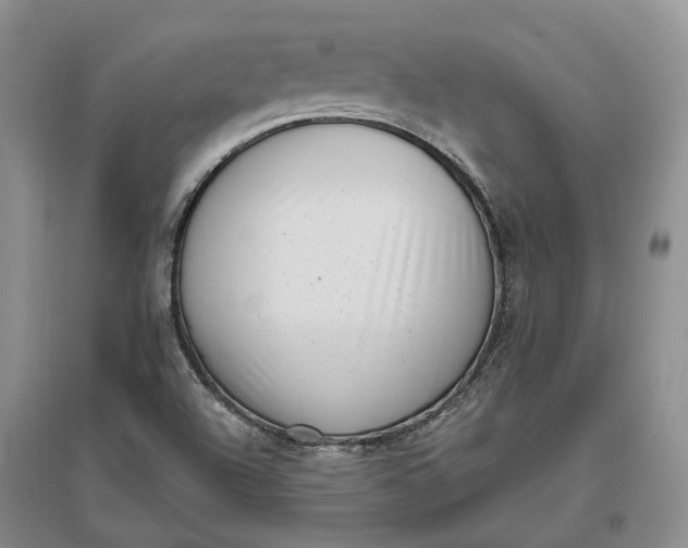 X0000097291504200802291738