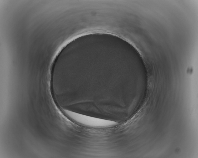 X0000097291508200802291738