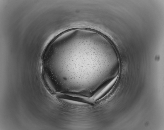 X0000097291509200802291738