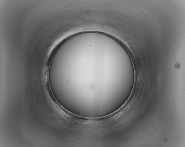 X0000097291510200802291738