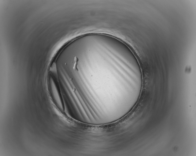 X0000097291511200802291738