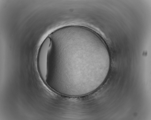 X0000097291512200802291738