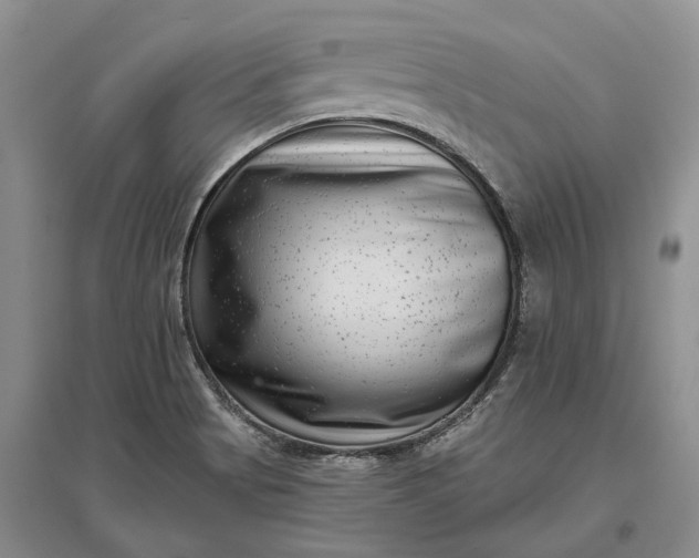 X0000097291513200802291738