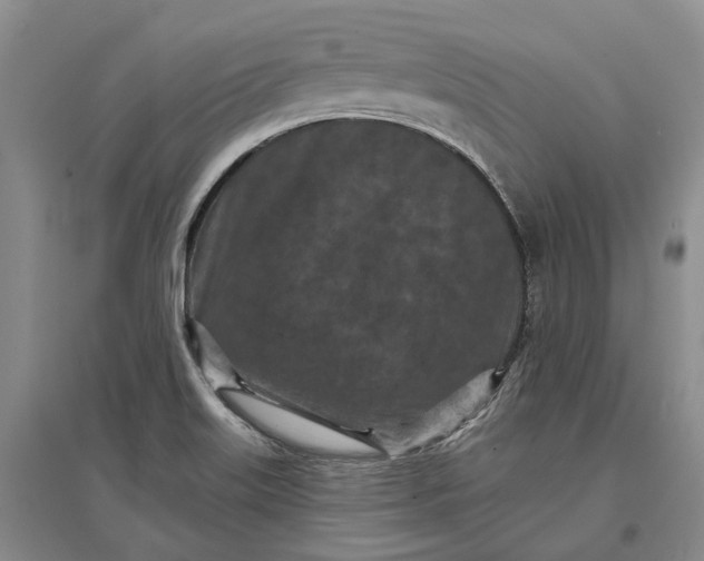 X0000097291515200802291738