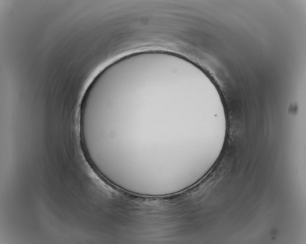 X0000097291516200802291738