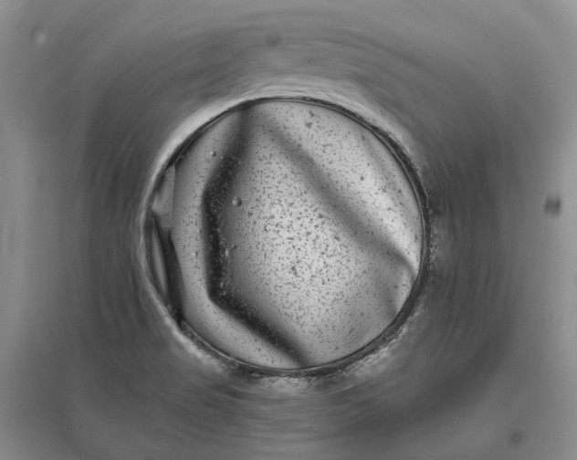 X0000097291517200802291738