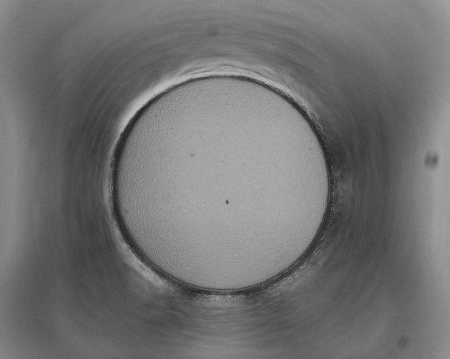 X0000097291518200802291738