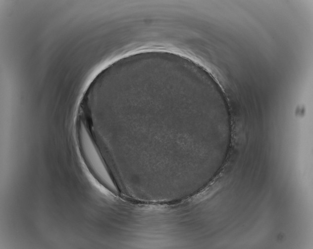 X0000097291519200802291738