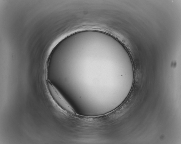 X0000097291520200802291738