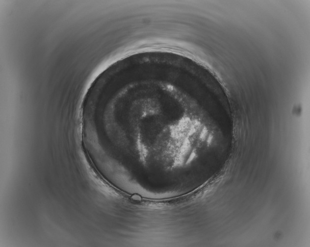 X0000097291522200802291738