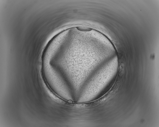X0000097291523200802291738