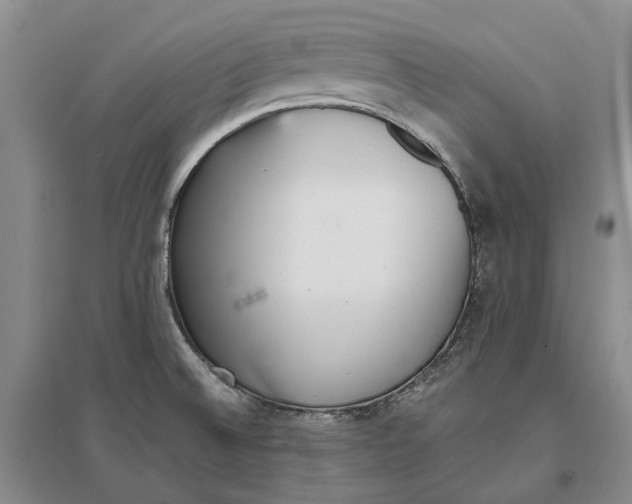X0000097291524200802291738