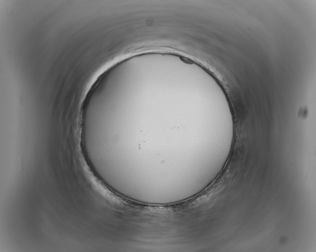 X0000097291526200802291738