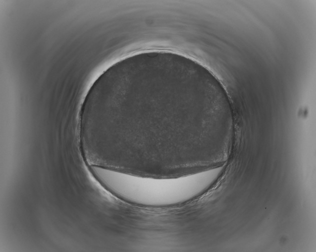 X0000097291527200802291738