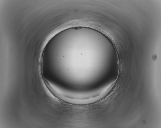 X0000097291528200802291738