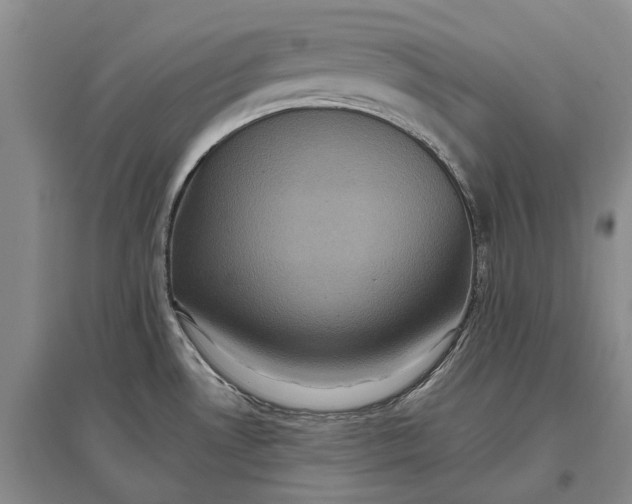 X0000097291530200802291738
