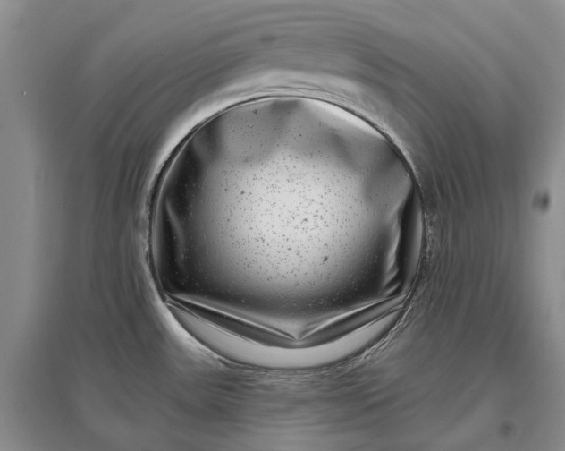 X0000097291531200802291738