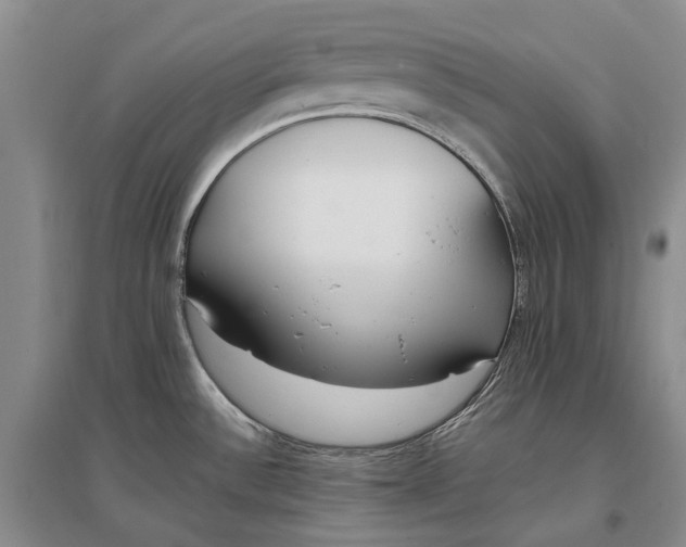 X0000097291532200802291738