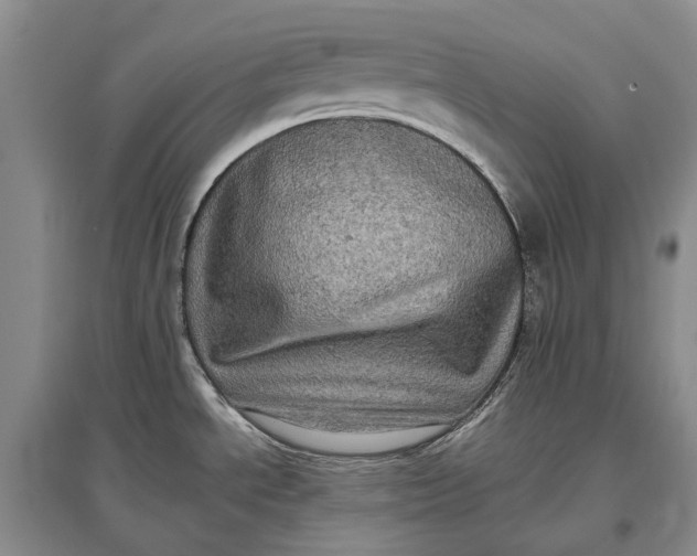 X0000097291534200802291738