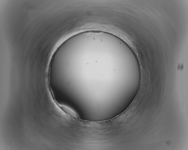 X0000097291536200802291738