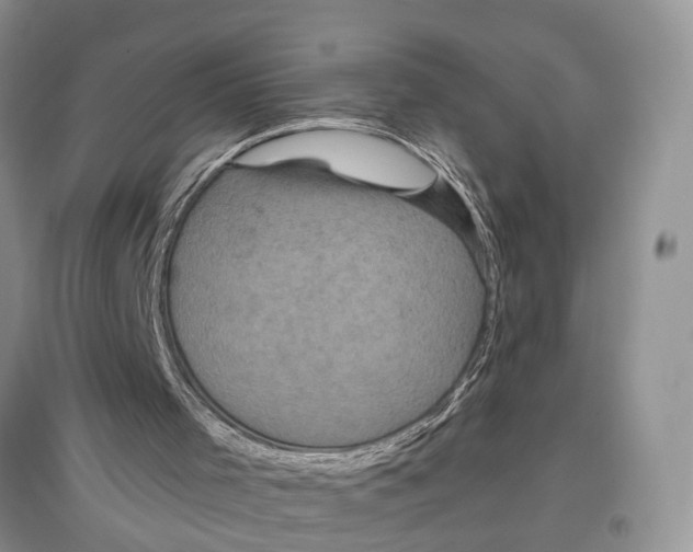 X0000097290001200803071741