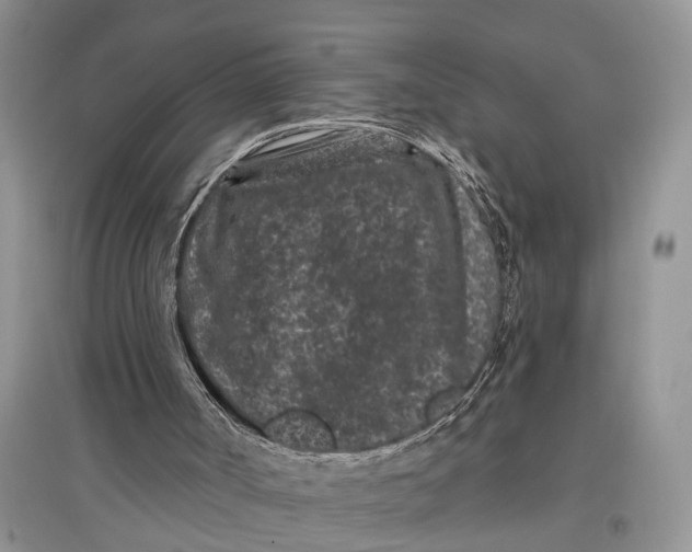 X0000097290002200803071741