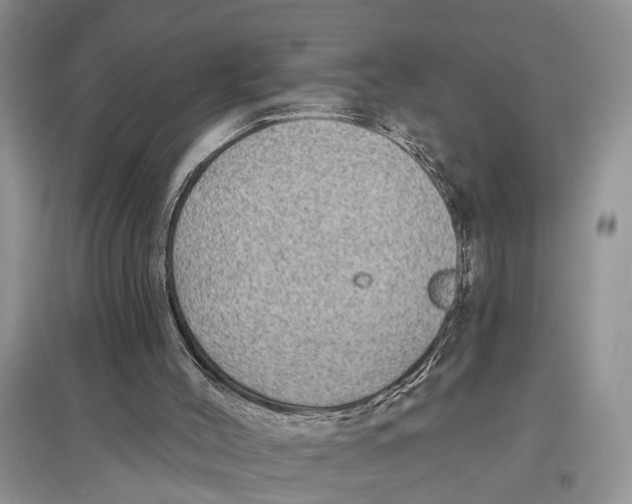 X0000097290004200803071741