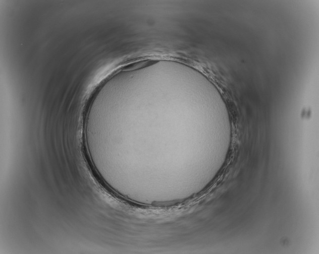 X0000097290005200803071741