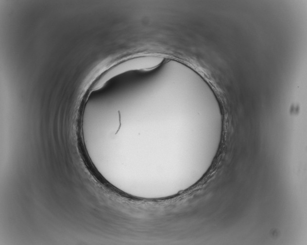 X0000097290007200803071741