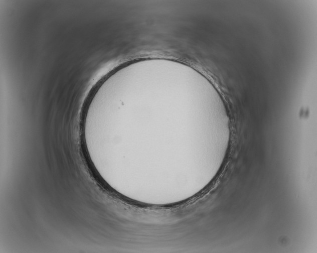 X0000097290008200803071741