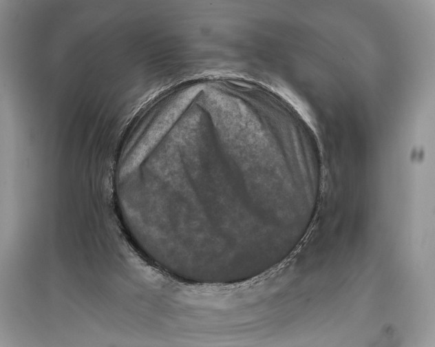 X0000097290009200803071741