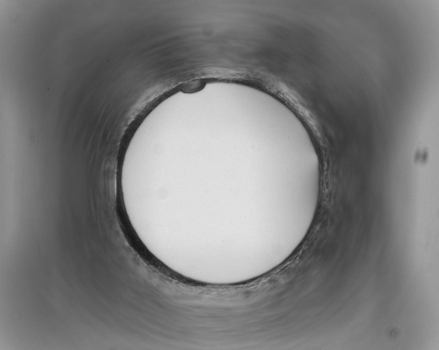 X0000097290011200803071741