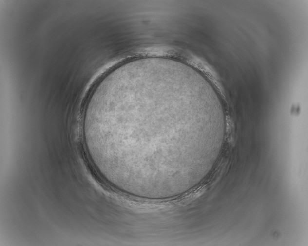 X0000097290012200803071741