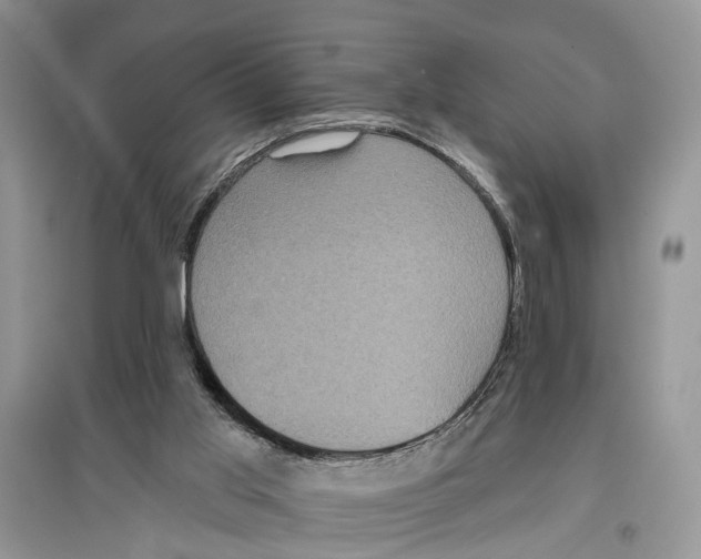 X0000097290013200803071741