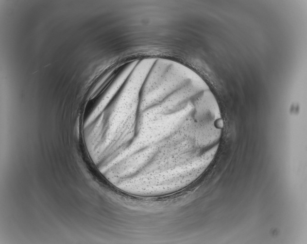 X0000097290014200803071741