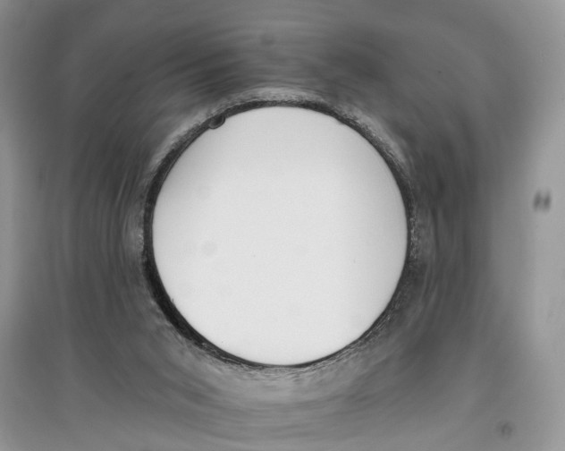 X0000097290015200803071741