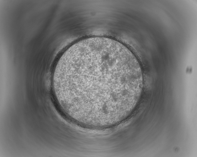 X0000097290016200803071741