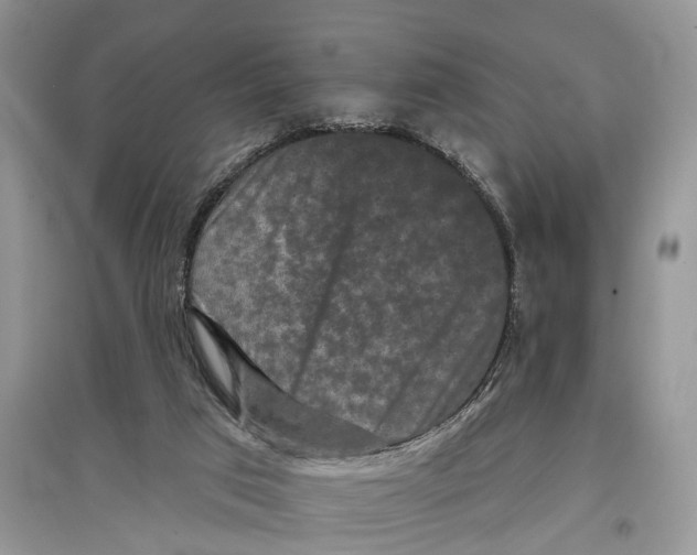 X0000097290017200803071741