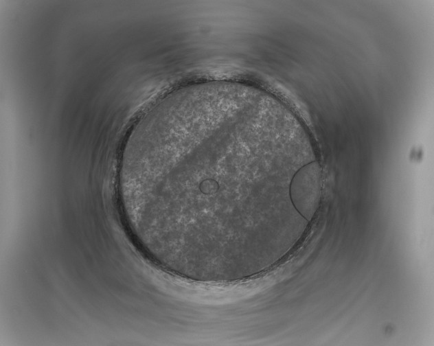 X0000097290018200803071741